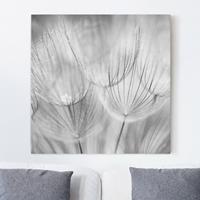 Bilderwelten Leinwandbild Blumen - Quadrat Pusteblumen Makroaufnahme in schwarz weiß