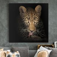 Bilderwelten Leinwandbild Tiere - Quadrat Resting Leopard