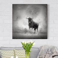 Bilderwelten Leinwandbild Tiere - Quadrat Staring Wildebeest