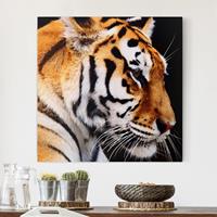 Bilderwelten Leinwandbild Tiere - Quadrat Tiger Schönheit