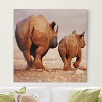 Bilderwelten Leinwandbild Tiere - Quadrat Wandering Rhinos