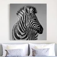 Bilderwelten Leinwandbild Tiere - Quadrat Zebra Baby Portrait II