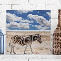 Bilderwelten Leinwandbild Tiere - Quadrat Zebra in der Savanne