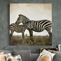 Bilderwelten Leinwandbild Tiere - Quadrat Zebrapaar