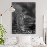 Bilderwelten Leinwandbild Schwarz-Weiß - Hochformat Gepard in der Wildness
