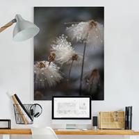 Bilderwelten Leinwandbild Blumen - Hochformat Pusteblumen mit Schneeflocken