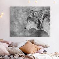 Bilderwelten Leinwandbild Schwarz-Weiß - Querformat Winter Wolf