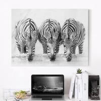 Bilderwelten Leinwandbild Schwarz-Weiß - Querformat Zebra Trio schwarz-weiß
