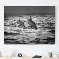 Bilderwelten Leinwandbild Schwarz-Weiß - Querformat Zwei springende Delfine