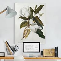 Bilderwelten Leinwandbild Blumen - Hochformat Georg Dionysius Ehret - Magnolie