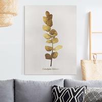 Bilderwelten Leinwandbild Blumen - Hochformat Gold - Eukalyptus