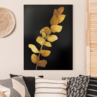 Bilderwelten Leinwandbild Blumen - Hochformat Gold - Eukalyptus auf Schwarz