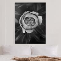 Bilderwelten Leinwandbild Blumen - Hochformat Pfingstrosenblüte vor Blättern Schwarz Weiß