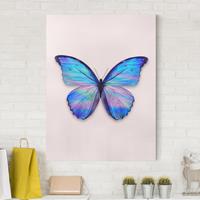 Bilderwelten Leinwandbild Tiere - Hochformat Holografischer Schmetterling