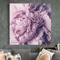 Bilderwelten Leinwandbild Blumen - Quadrat Lila Pfingstrosenblüten