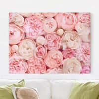 Bilderwelten Leinwandbild Blumen - Querformat Rosen Rosé Koralle Shabby