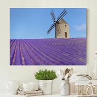 Bilderwelten Leinwandbild Natur & Landschaft - Querformat Lavendelduft in der Provence