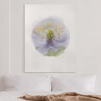 Bilderwelten Leinwandbild Blumen - Hochformat Wasserfarben - Anemonen Schönheit