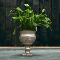 Gartentraum.de Besonderer Blumentopf - Kelch aus Beton - farbig mit Ornament - Botero / Bronze glänzend