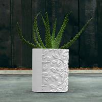 Gartentraum.de Rundes Pflanzgefäß mit Blättermotiv aus Architekturbeton - Magrite / Weiß matt