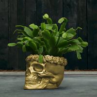 Gartentraum.de Einzigartiger Pflanztopf aus Beton - Totenschädel mit Rosen - Gangain / 11x12x15cm (HxBxT) / Gold glänzend