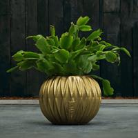 Gartentraum.de Kugel Pflanzgefäß aus Beton im modernen Design - Kuloha / Gold glänzend