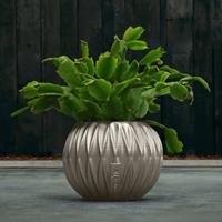 Gartentraum.de Kugel Pflanzgefäß aus Beton im modernen Design - Kuloha / Bronze glänzend