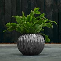Gartentraum.de Kugel Pflanzgefäß aus Beton im modernen Design - Kuloha / Anthrazit glänzend