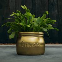 Gartentraum.de Runder Home-Blumentopf aus Beton im klassischen Design - Mondrin / Gold glänzend