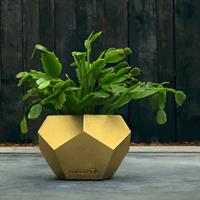 Gartentraum.de Eleganter Beton Pflanztopf eckig - individuell - Murakami / Gold glänzend