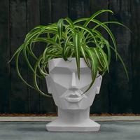 Gartentraum.de Moderner Frauen Kopf Pflanztopf aus Beton - Aphrodite Design - Morahby / Weiß matt