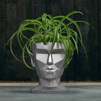 Gartentraum.de Moderner Frauen Kopf Pflanztopf aus Beton - Aphrodite Design - Morahby / Silber glänzend
