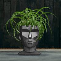 Gartentraum.de Moderner Frauen Kopf Pflanztopf aus Beton - Aphrodite Design - Morahby / Anthrazit glänzend