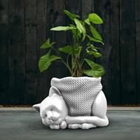 Gartentraum.de Schlafende Katze als Blumentopf aus Beton - modern - Chirico / Weiß matt