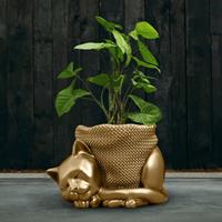 Gartentraum.de Schlafende Katze als Blumentopf aus Beton - modern - Chirico / Gold glänzend