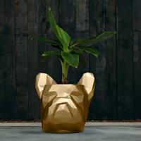 Gartentraum.de Hundekopf als Blumentopf - modernes Design - Bulldogge - Seurat / Gold glänzend