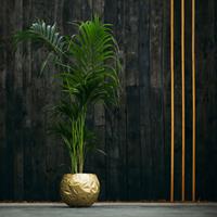 Gartentraum.de Kugelförmiger Beton Übertopf für Pflanzen - modern - Kahlo / 27,3x34,6x34,5cm (HxBxT) / Gold glänzend