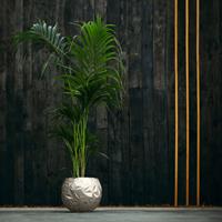 Gartentraum.de Kugelförmiger Beton Übertopf für Pflanzen - modern - Kahlo / 27,3x34,6x34,5cm (HxBxT) / Bronze glänzend