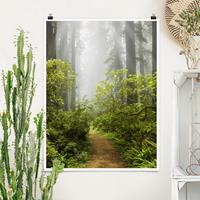 Bilderwelten Poster Natur & Landschaft - Hochformat Nebliger Waldpfad