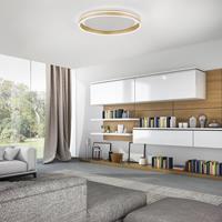 Q-Smart-Home Paul Neuhaus Q-VITO LED plafondlamp, Ø 60cm