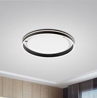 PAUL NEUHAUS Smart plafondlamp donkergrijs 79 cm met afstandsbediening - Ronith