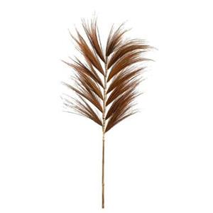 Leen Bakker Droogbloemen Grass plume - bruin - 118 cm