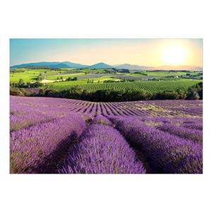 Artgeist Lavender Field Vlies Fotobehang