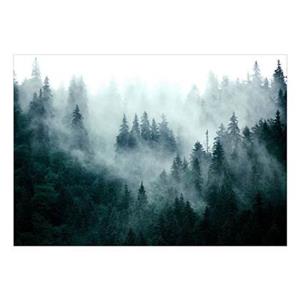Artgeist Mountain Forest Dark Green Vlies Fototapete