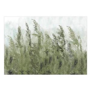 Artgeist Tall Grasses Green Vlies Fotobehang