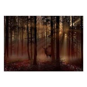 Walljar.com Walljar - Fotobehang - Mystical Forest - First Variant