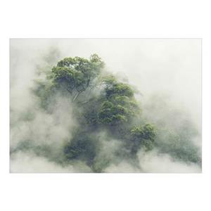 ARTGEIST Fototapete - Foggy Amazon