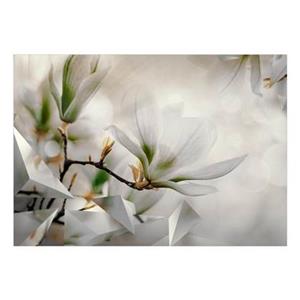 Walljar.com Walljar - Fotobehang - Subtle Magnolias - Second Variant