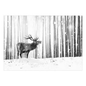 Artgeist Deer in the Snow Black and White Vlies Fotobehang