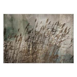 artgeist Fototapete Water Grasses grau/braun Gr. 100 x 70